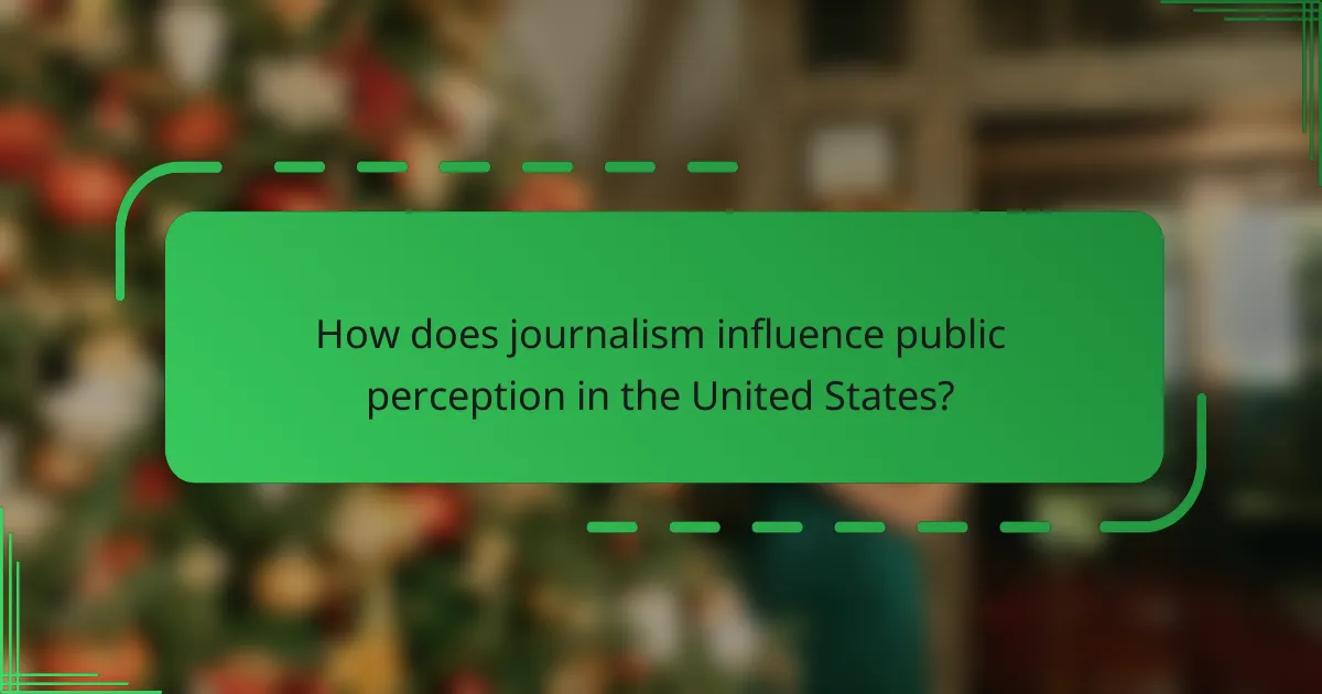 How does journalism influence public perception in the United States?