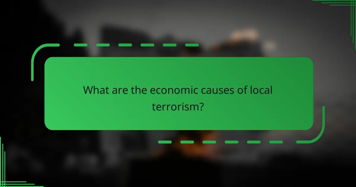 What are the economic causes of local terrorism?