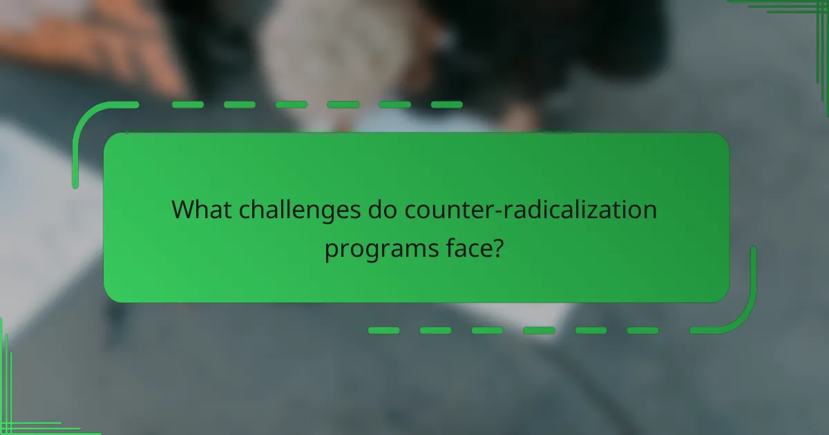 What challenges do counter-radicalization programs face?